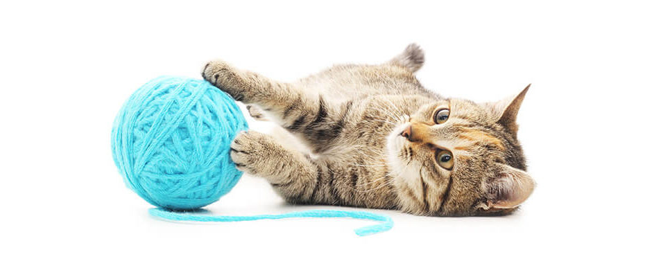 Photo d'un chat jouant avec une pelote de laine